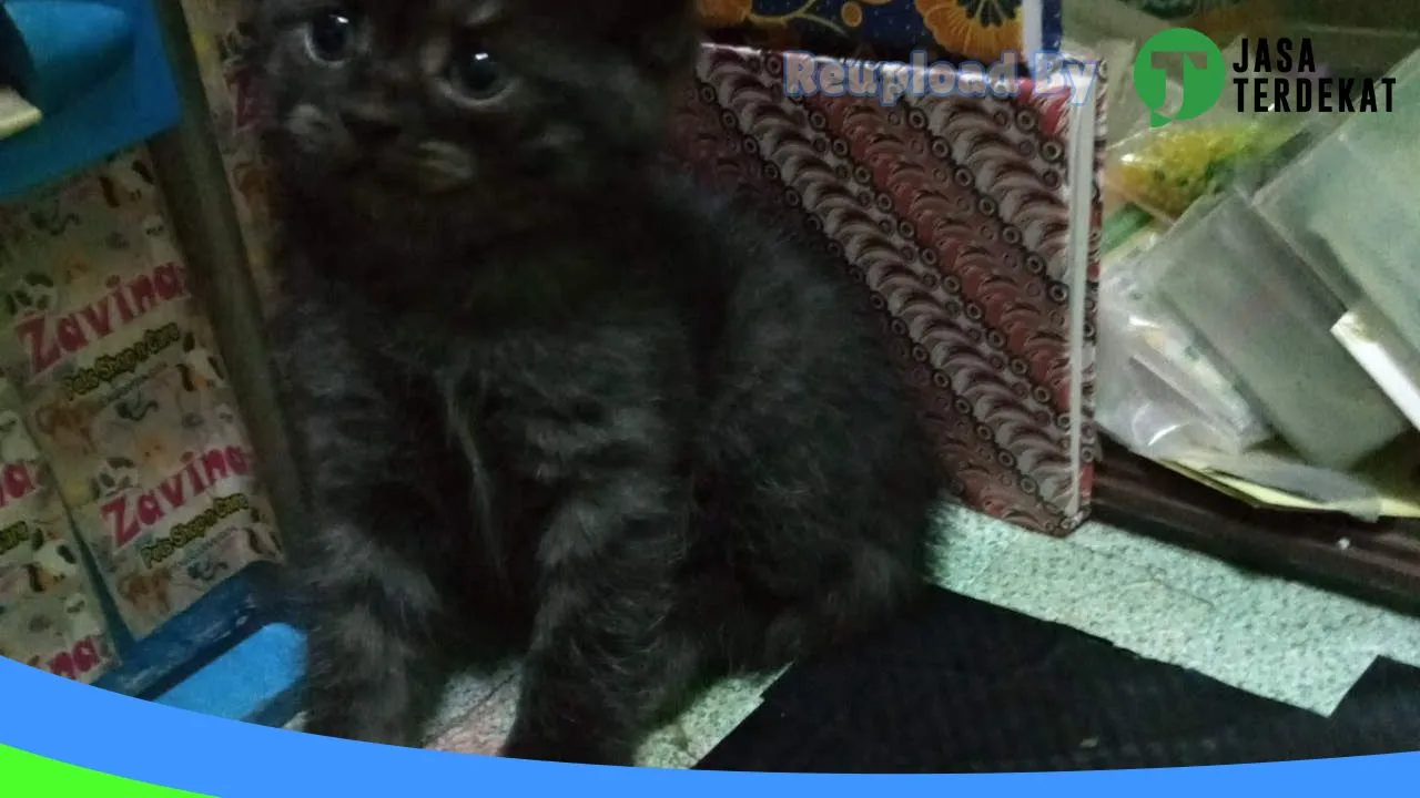 Gambar zavina petshop & care peninggaran raya di Jakarta Selatan, DKI Jakarta ke 1