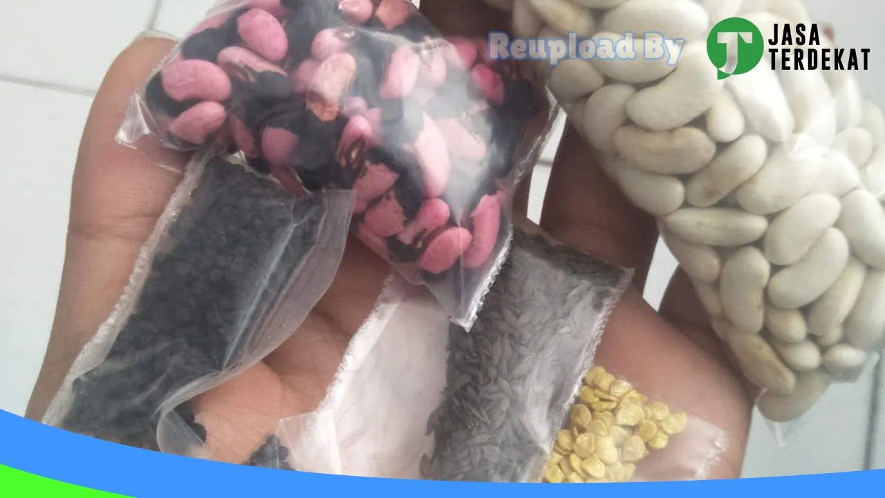 Gambar Toko Exodus di Timor Tengah Selatan, Nusa Tenggara Timur ke 5