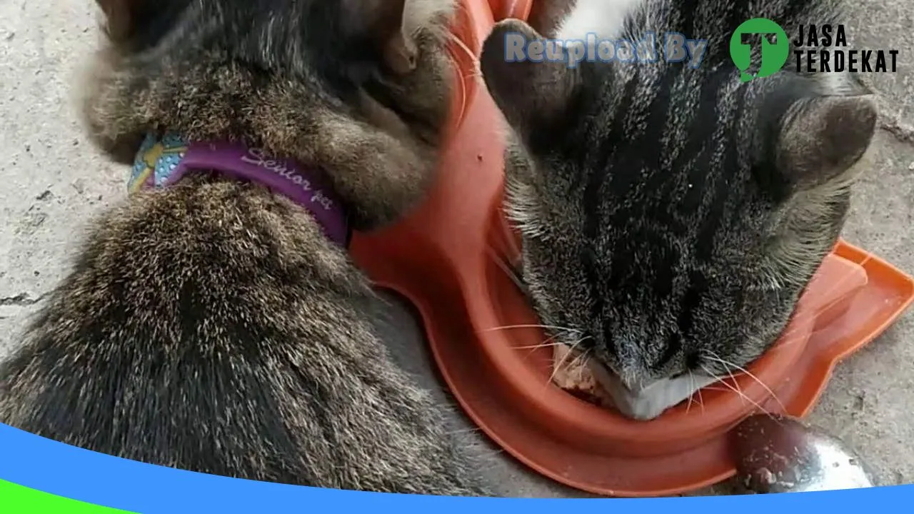 Gambar Chakie Petshop di Berau, Kalimantan Timur ke 1