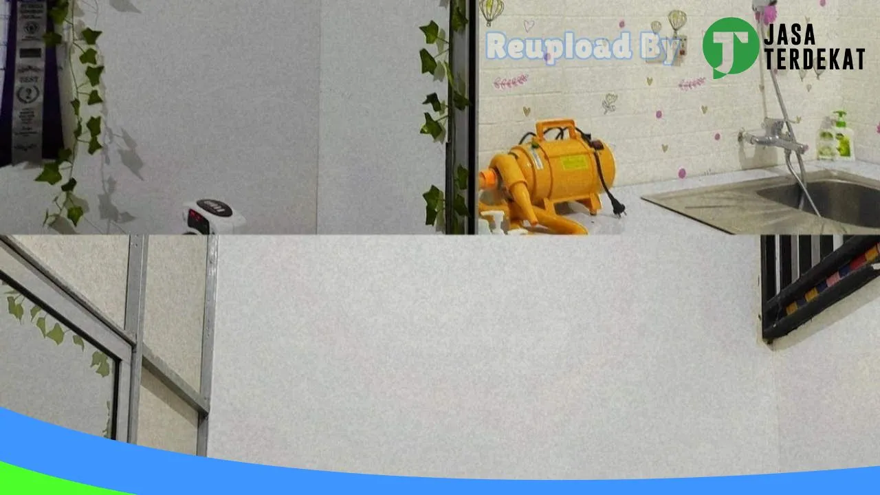 Gambar Kitty House Petshop di Lombok Barat, Nusa Tenggara Barat ke 2