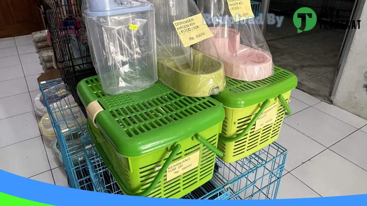 Gambar Star Petshop Karanganyar di Karanganyar, Jawa Tengah ke 5