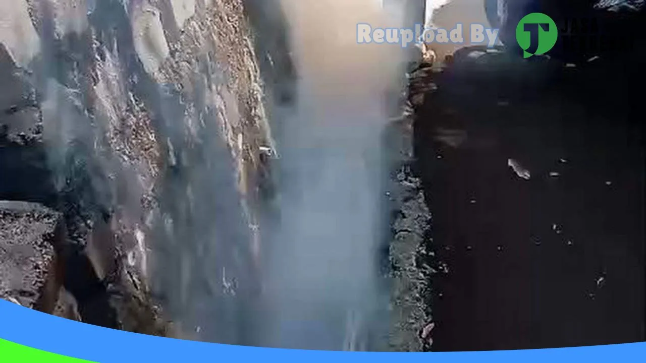 Gambar DWIJAYA JASA FOGGING NYAMUK, BASMI RAYAP, Rodent Control, Fumigasi, Disinfektan di Palangka Raya, Kalimantan Tengah ke 3