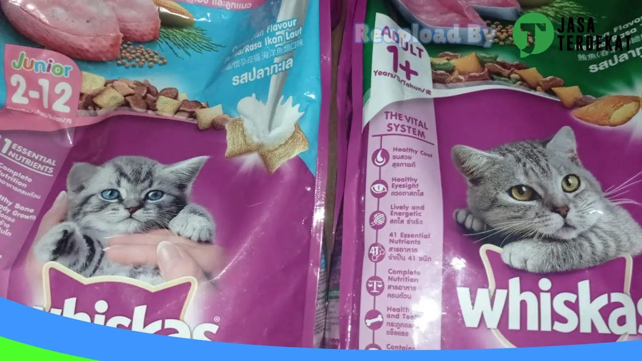 Gambar BS Petshop Malinau di Malinau, Kalimantan Utara ke 1