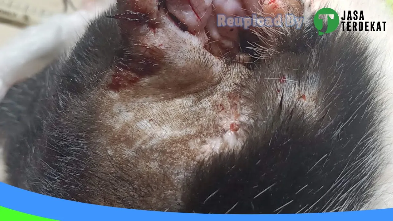 Gambar My pet Paradise Blitar di Kota Blitar, Jawa Timur ke 3