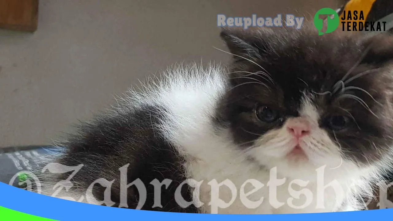 Gambar Zahra Pet Shop & Grooming di Sukabumi, Jawa Barat ke 1