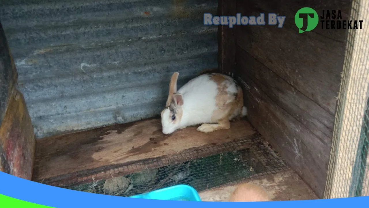 Gambar Uphyk Pondok Kelinci di Morowali, Sulawesi Tengah ke 3