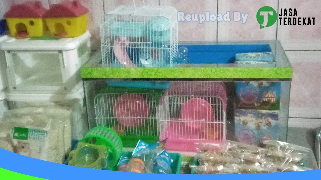 Gambar “TERA” Hamsters dan motor second di Magetan, Jawa Timur ke 2