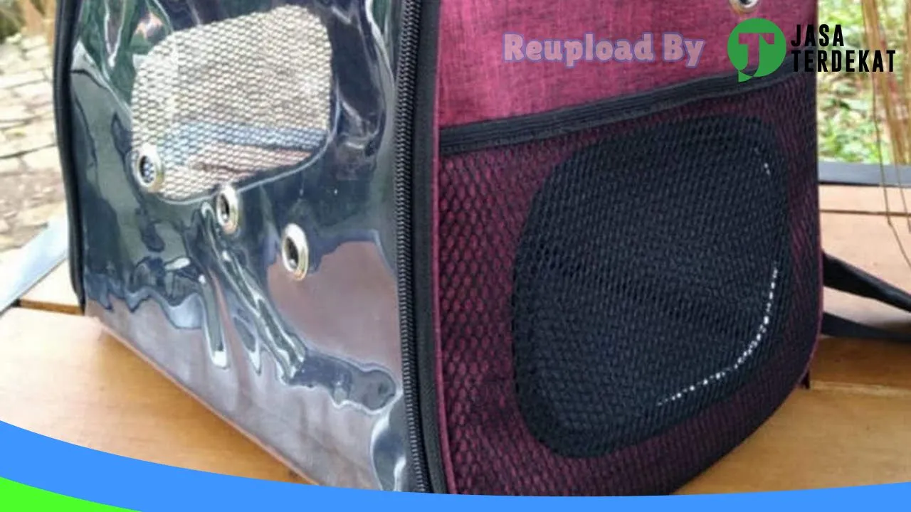 Gambar Petshopku di Gresik, Jawa Timur ke 2