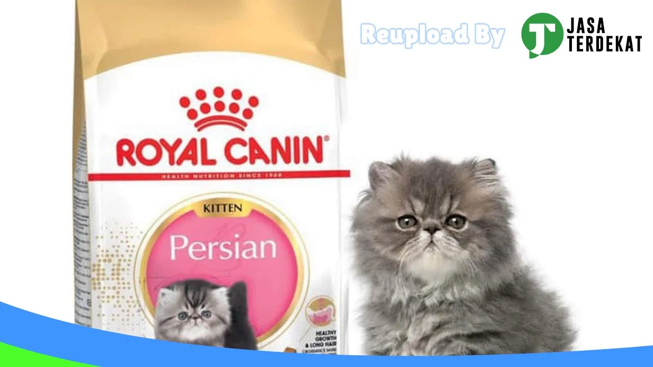 Gambar CLEO PETSHOP di Sukamara, Kalimantan Tengah ke 5