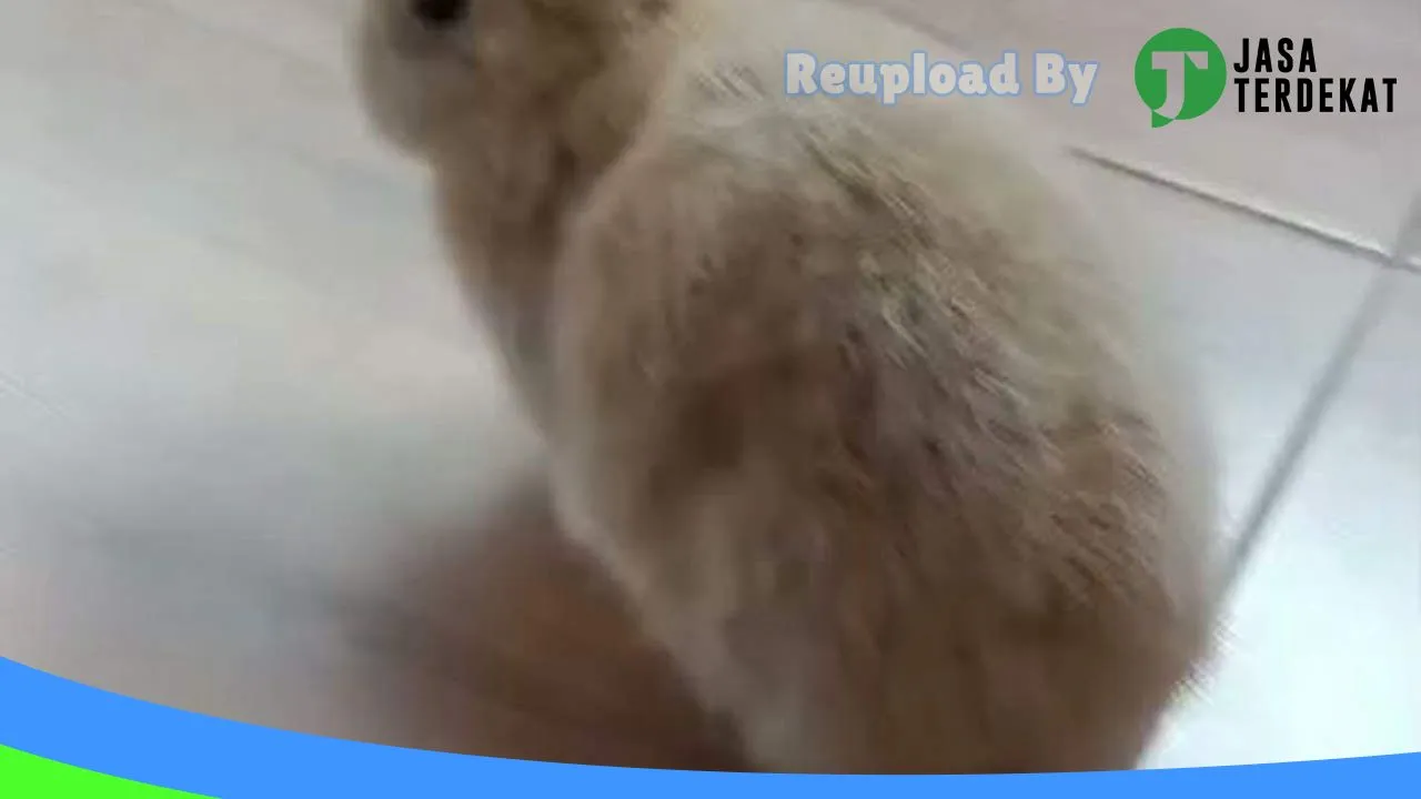 Gambar “Calling Vet” Praktek Dokter Hewan dan Petshop di Jombang, Jawa Timur ke 1