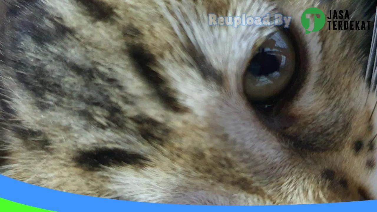 Gambar Healthy Pet Madiun di Kota Madiun, Jawa Timur ke 4