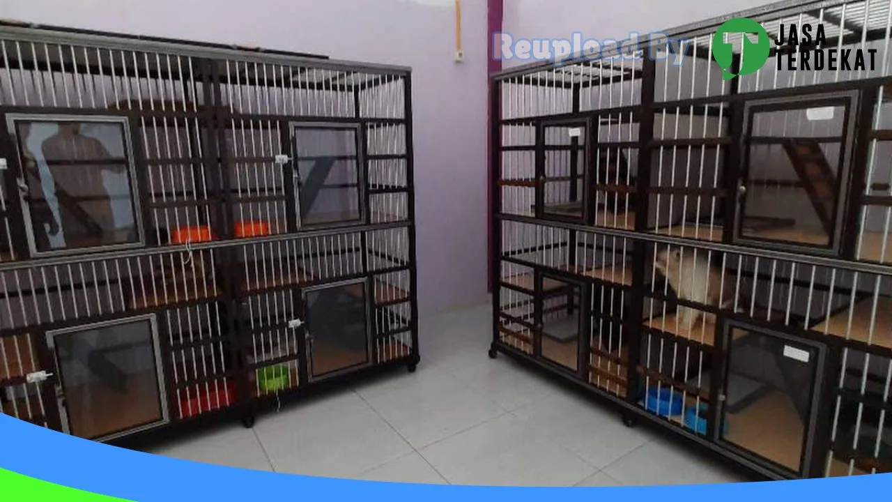 Gambar Zieyu Petshop & Praktek Dokter Hewan drh AYU HARISMAH di Muko-Muko, Bengkulu ke 3