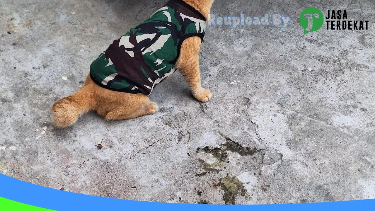 Gambar MM Petshop Kisaran di Batu Bara, Sumatera Utara ke 5