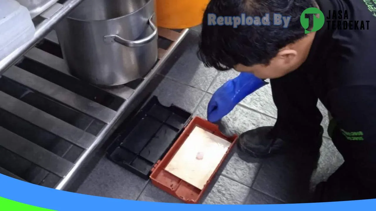 Gambar Pest Terminator Indonesia di Denpasar, Bali ke 4