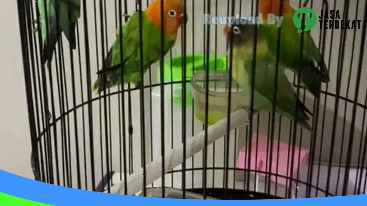 Gambar Pahlawan petshop di Paser, Kalimantan Timur ke 1