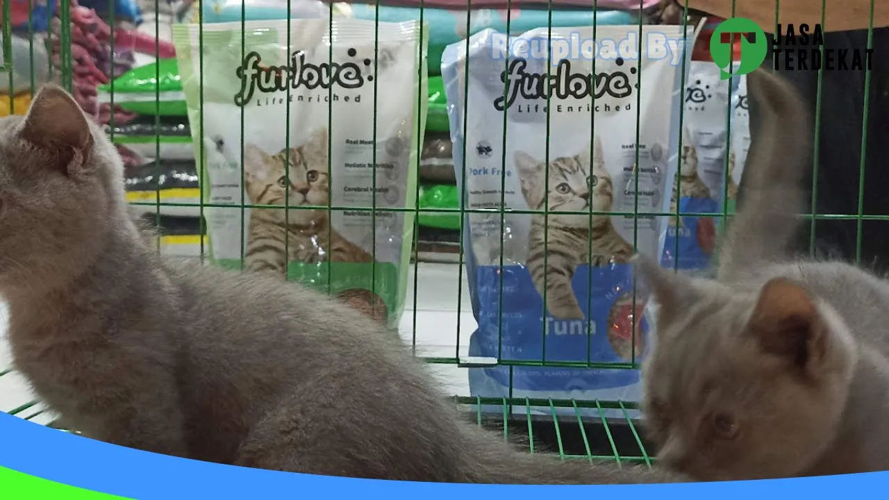 Gambar RACHEL PETSHOP di Banjarnegara, Jawa Tengah ke 3