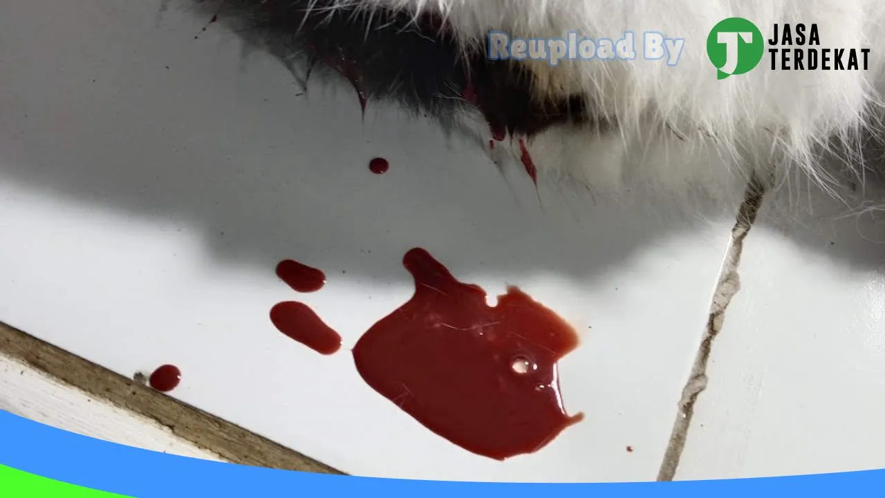 Gambar Klinik Hewan dan Petshop Dunia Satwa di Tanah Datar, Sumatera Barat ke 4