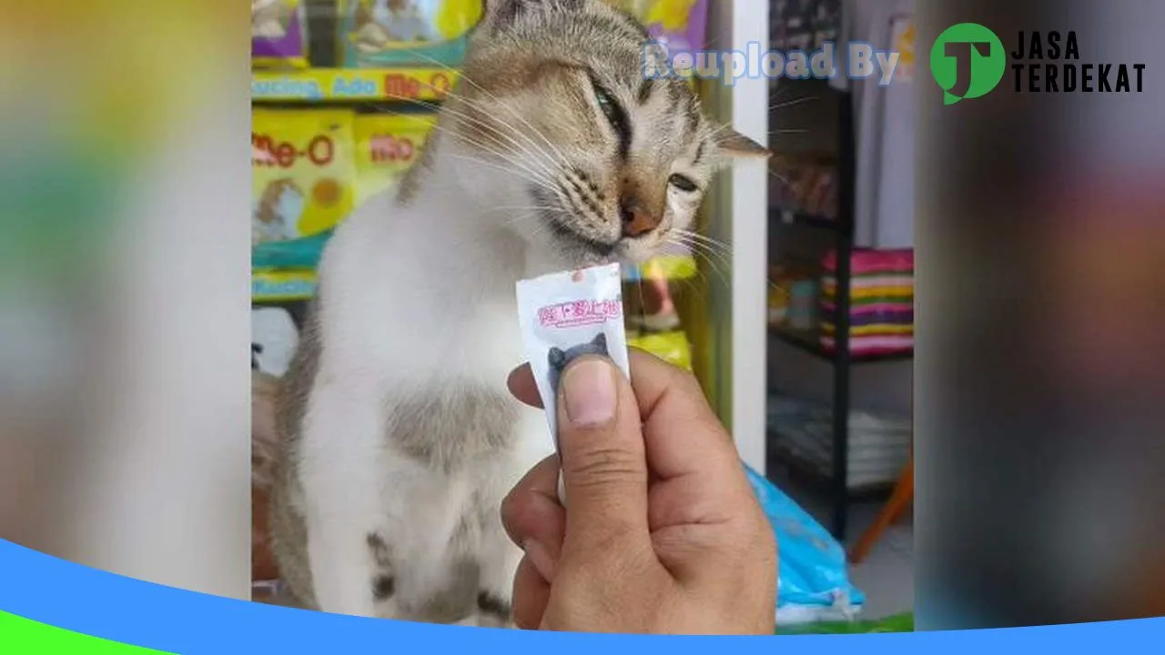 Gambar MIKOMIKO PetShop di Tasikmalaya, Jawa Barat ke 3