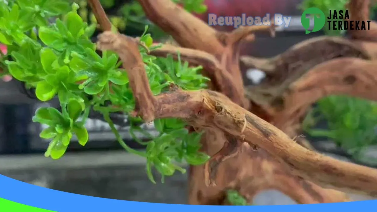 Gambar BG 09 AQUARIUM BEARU di Berau, Kalimantan Timur ke 1