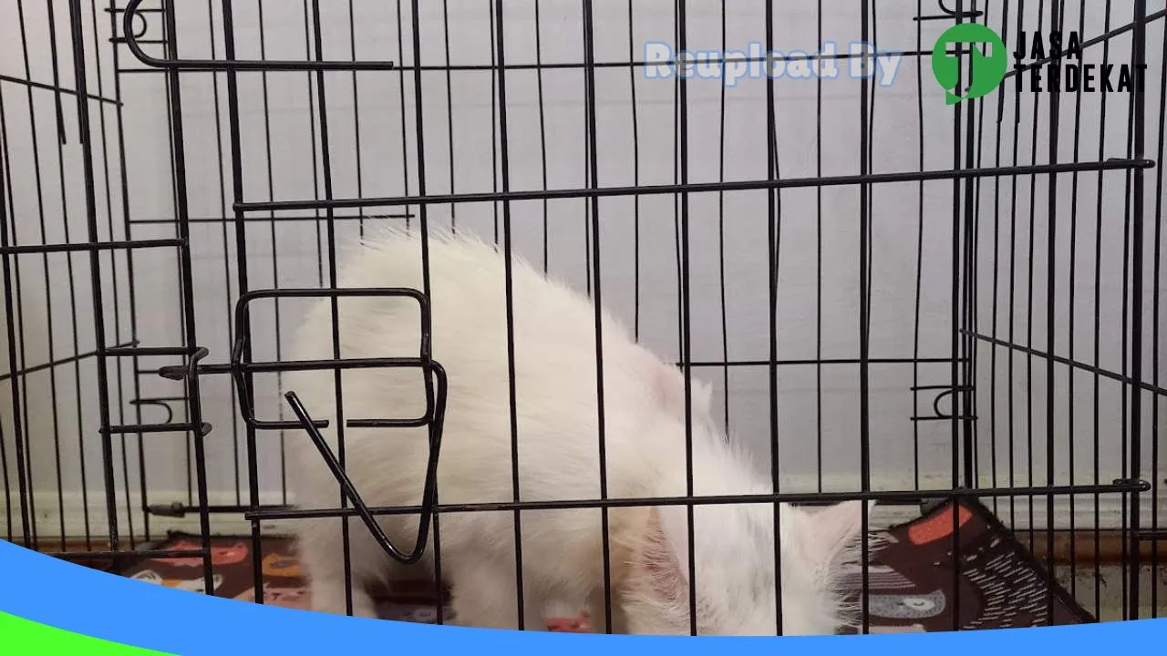 Gambar Luphhvet Care Petshop & Clinic di Tapanuli Selatan, Sumatera Utara ke 5