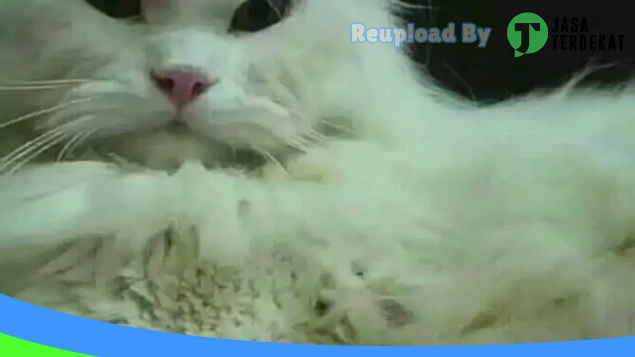 Gambar R K Pet shop di Cianjur, Jawa Barat ke 1