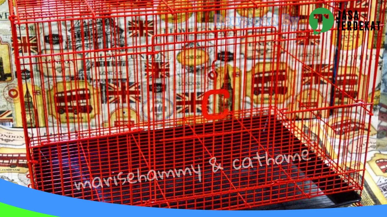 Gambar Marise Pet Shop & Sugar glider di Kota Bandung, Jawa Barat ke 3