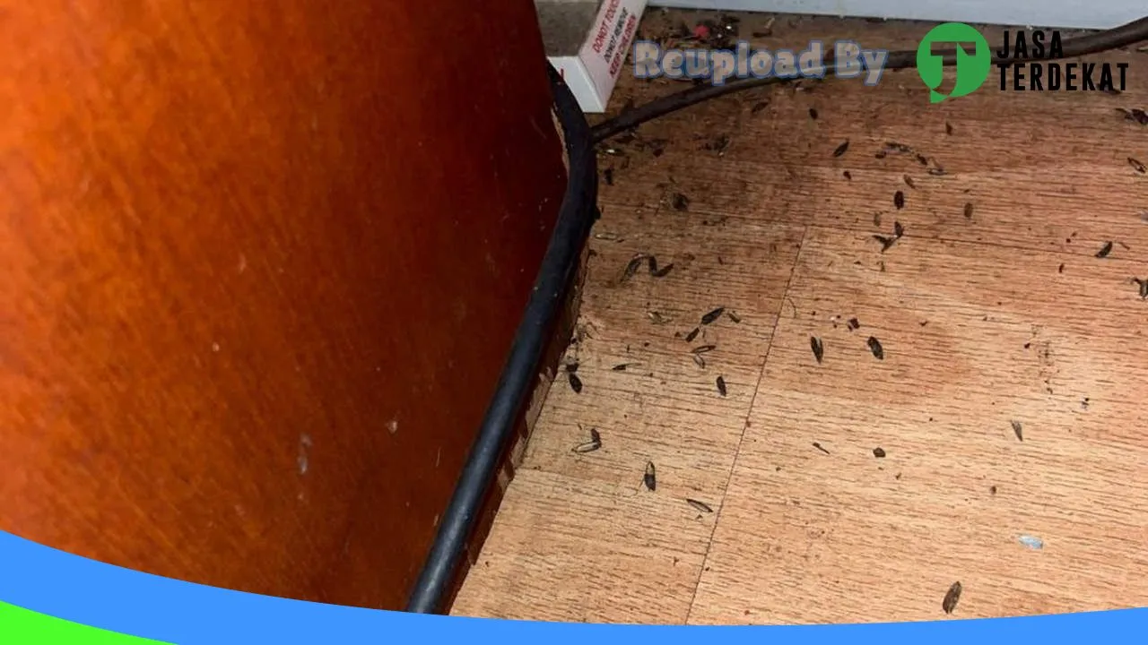 Gambar Anti Rayap, Basmi Hama, Basmi Tikus, Fogging Nyamuk, Pest Control – Nusantara Pest Bekasi di Tulungagung, Jawa Timur ke 5