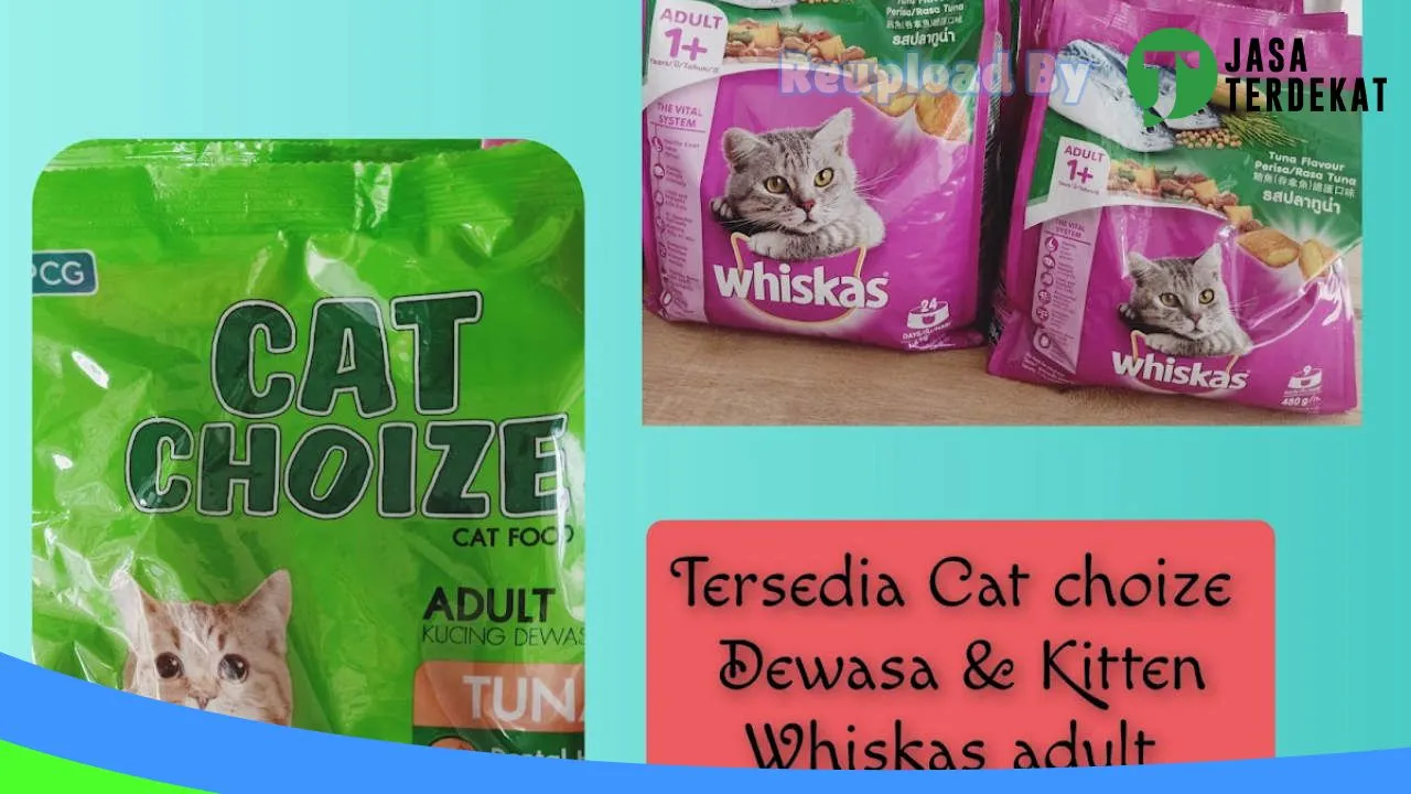 Gambar Pet Shop Pet Kingdom & Praktek Dokter Hewan di Pringsewu, Lampung ke 3