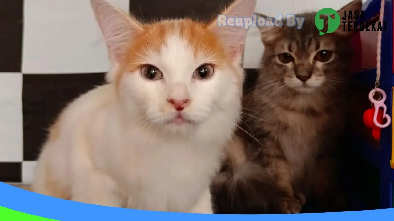 Gambar Bita petshop Menganti di Gresik, Jawa Timur ke 5