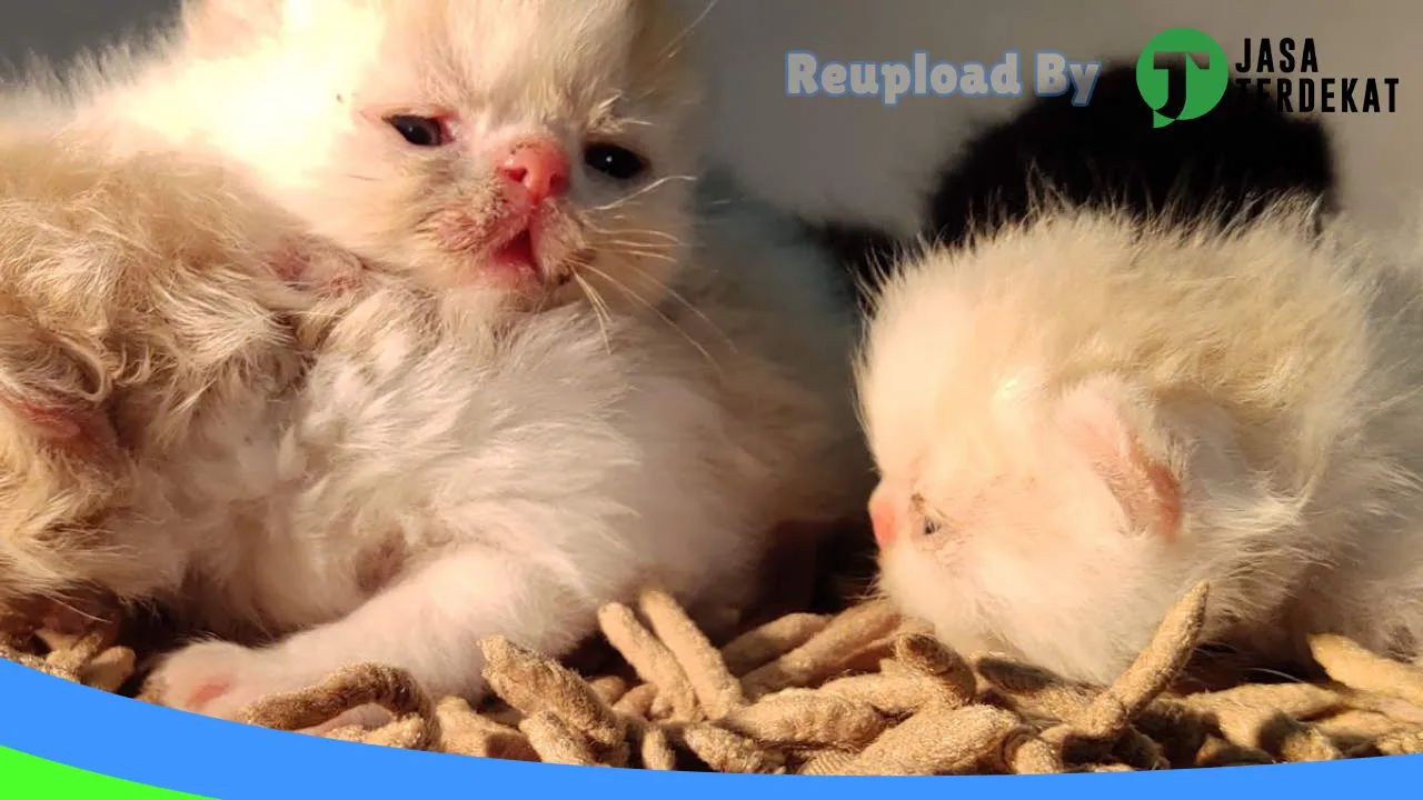 Gambar PANDA Pet Shop di Pamekasan, Jawa Timur ke 3