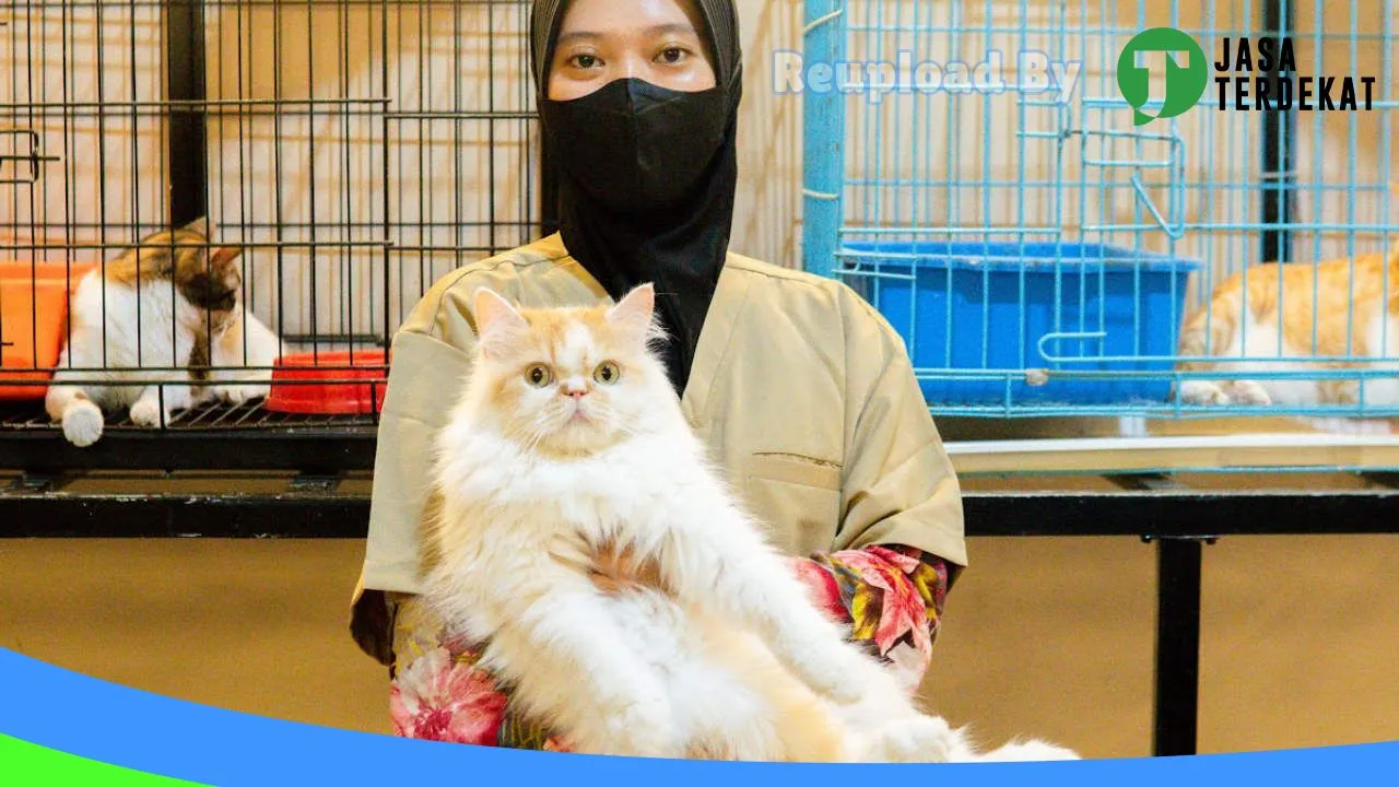 Gambar APB Antasari Pet Shop & Poultry Shop di Samarinda, Kalimantan Timur ke 2