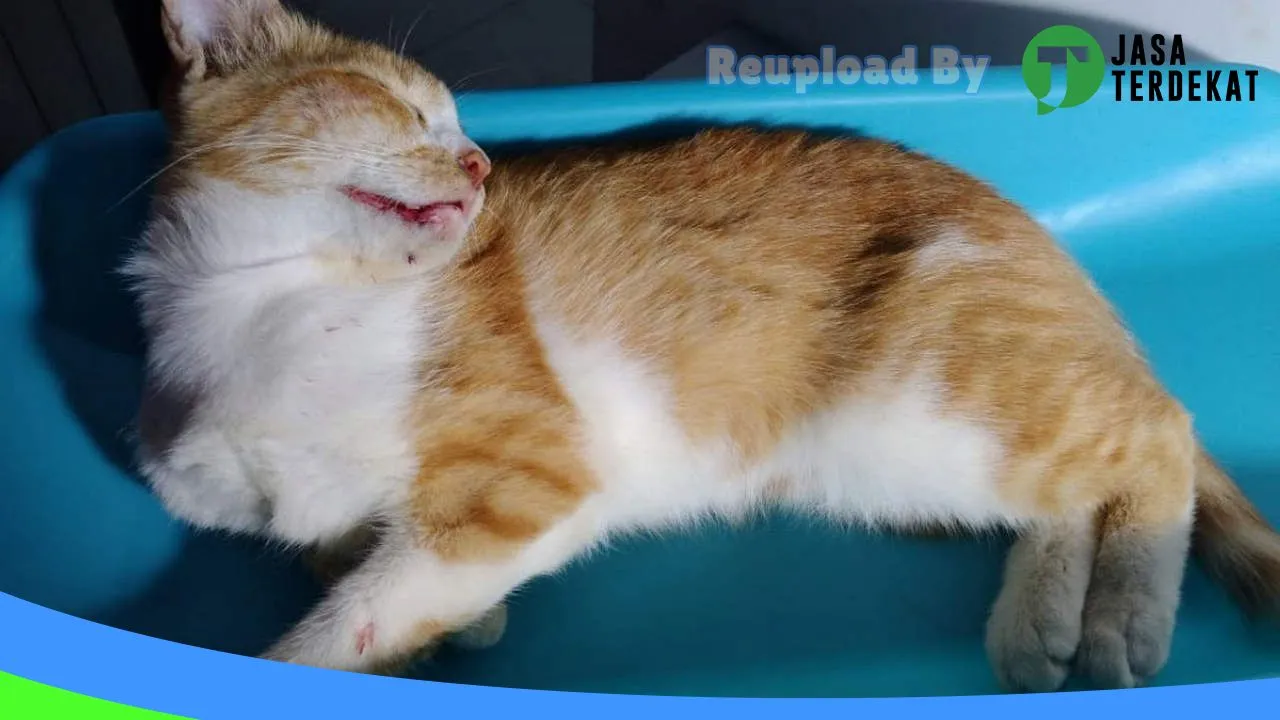 Gambar Petcare Jombang di Jombang, Jawa Timur ke 1