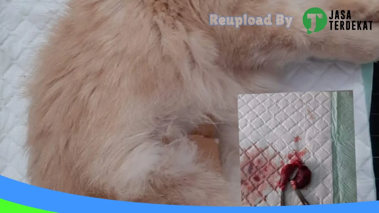 Gambar Pasuruan Petshop & Petcare di Pasuruan, Jawa Timur ke 2