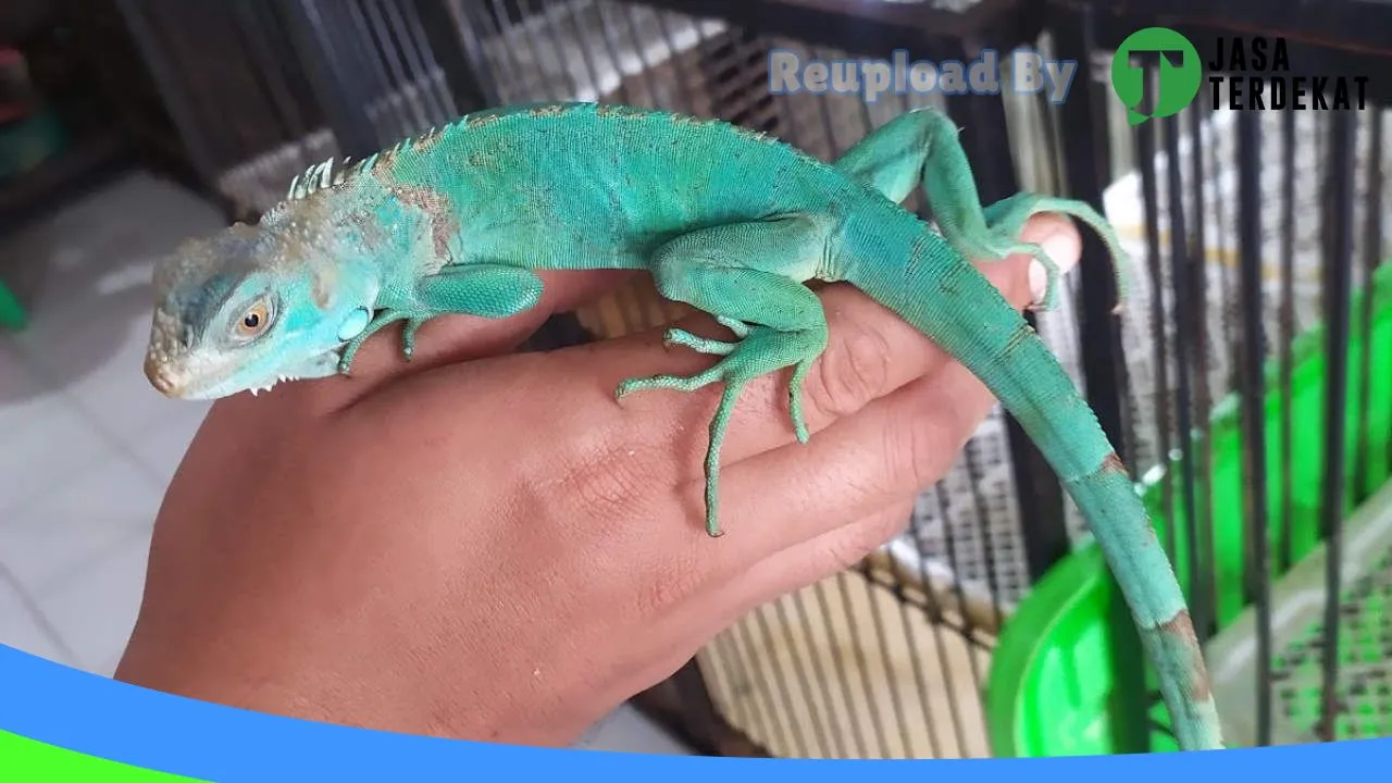 Gambar Unique Petshop & Stuff di Aceh Utara, Aceh ke 4