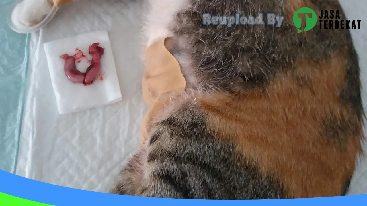 Gambar KLINIK DOKTER HEWAN CENTRA SATWA di Tebing Tinggi, Sumatera Utara ke 2