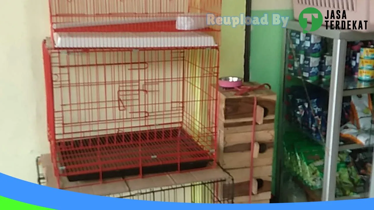 Gambar Micca PetShop di Sumba Barat, Nusa Tenggara Timur ke 3