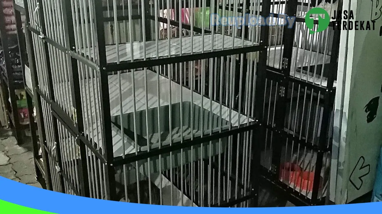 Gambar Blendis Petshop di Surakarta, Jawa Tengah ke 3