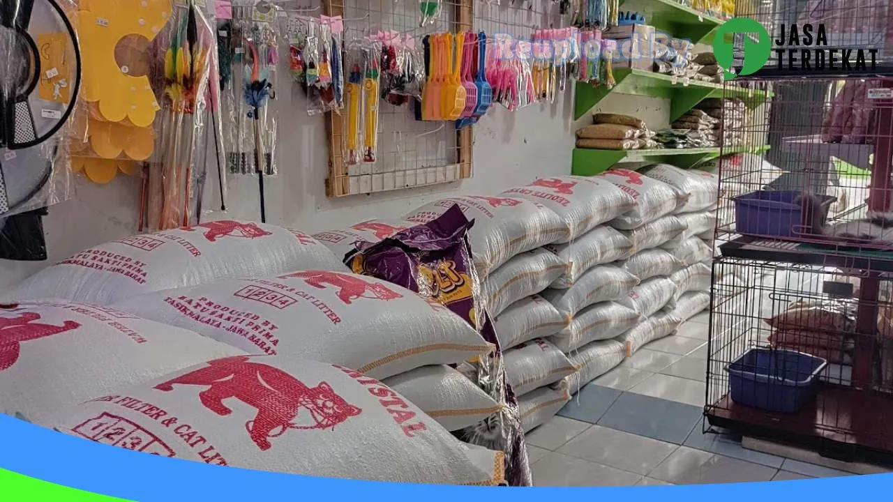 Gambar AnimalGallery Petshop di Tegal, Jawa Tengah ke 4