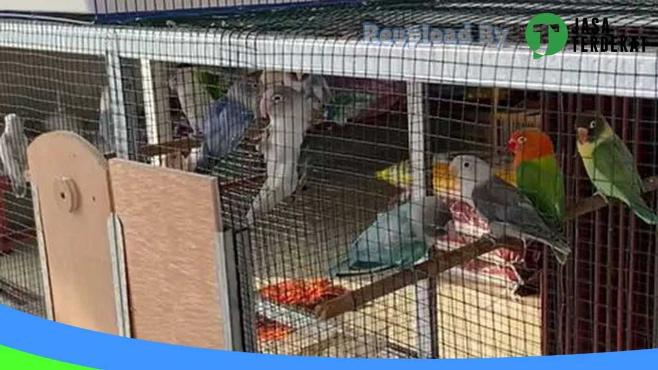 Gambar Pahlawan petshop di Paser, Kalimantan Timur ke 3