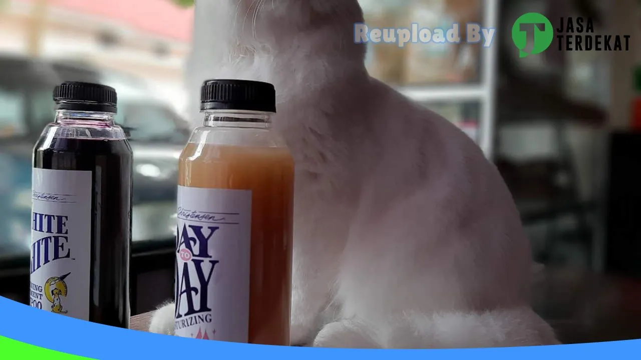 Gambar Rumah Satwa Pet Shop & Klinik Batusangkar di Tanah Datar, Sumatera Barat ke 4