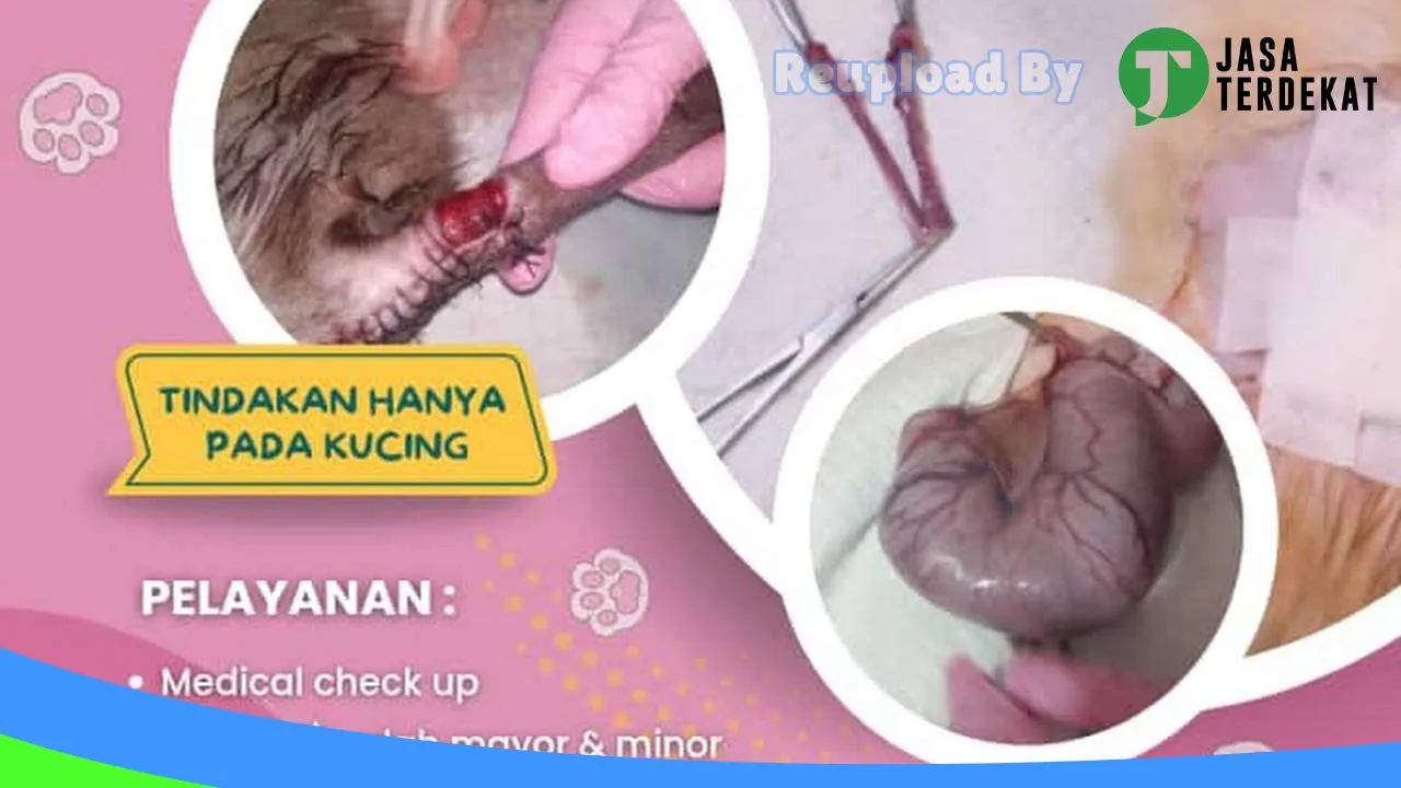 Gambar PinkVet – Praktik Dokter Hewan & Petshop di Kota Bima, Nusa Tenggara Barat ke 2