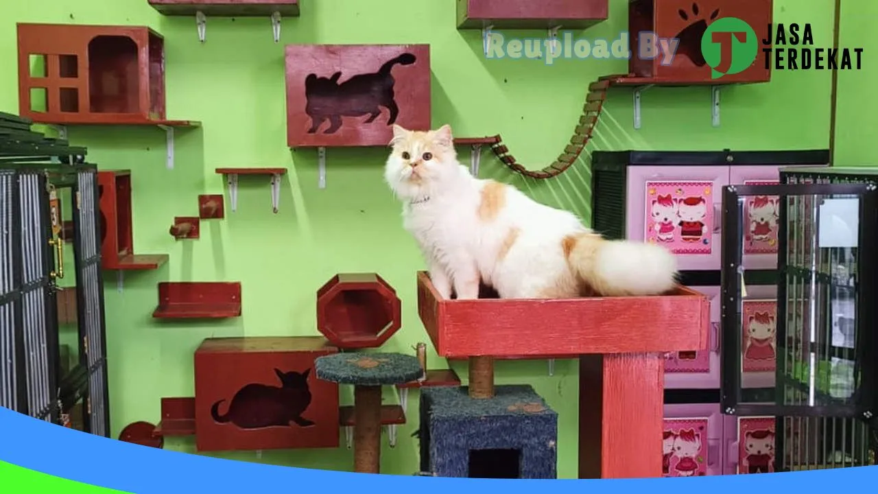 Gambar BUBUKU GROOMING PILIHAN di Kotawaringin Timur, Kalimantan Tengah ke 5