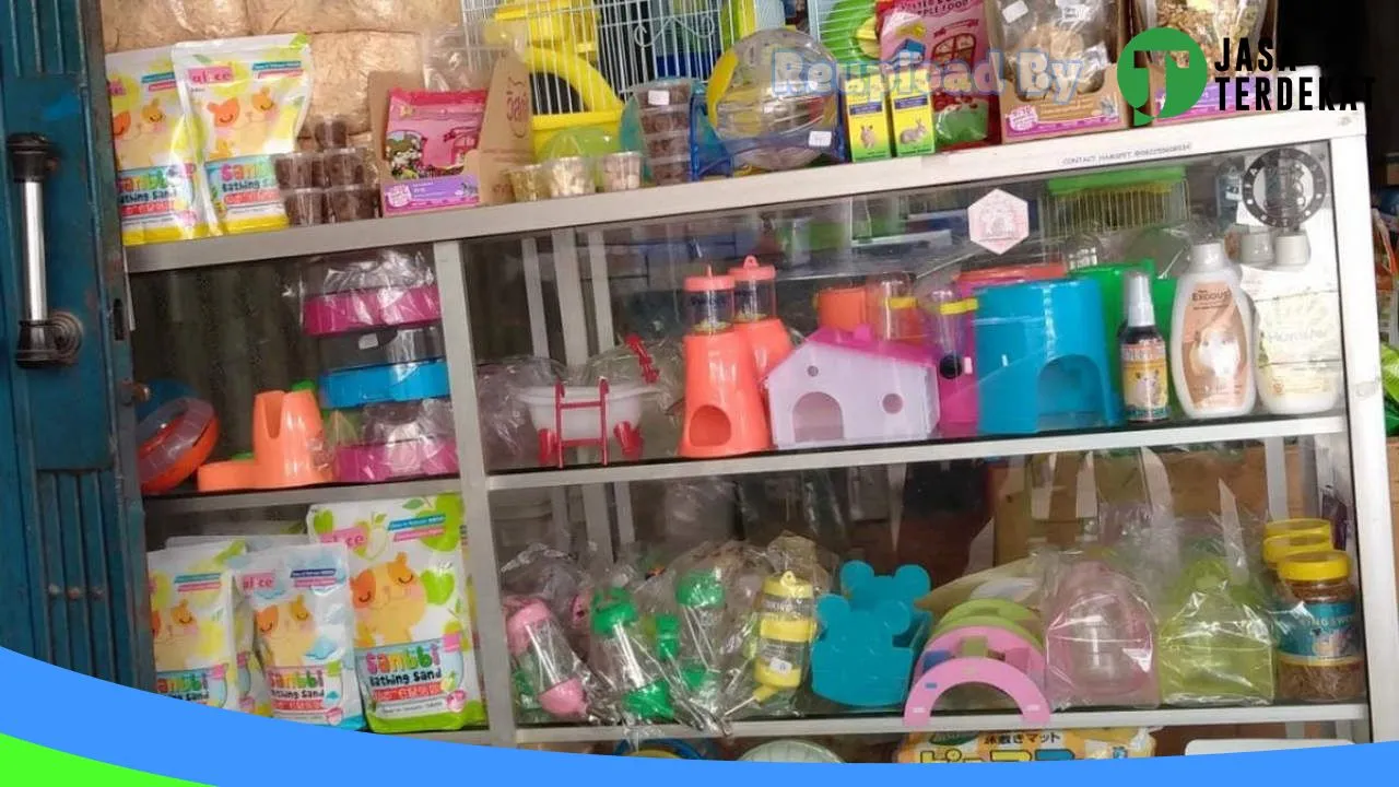 Gambar Hamster Petshop Samarinda di Samarinda, Kalimantan Timur ke 4