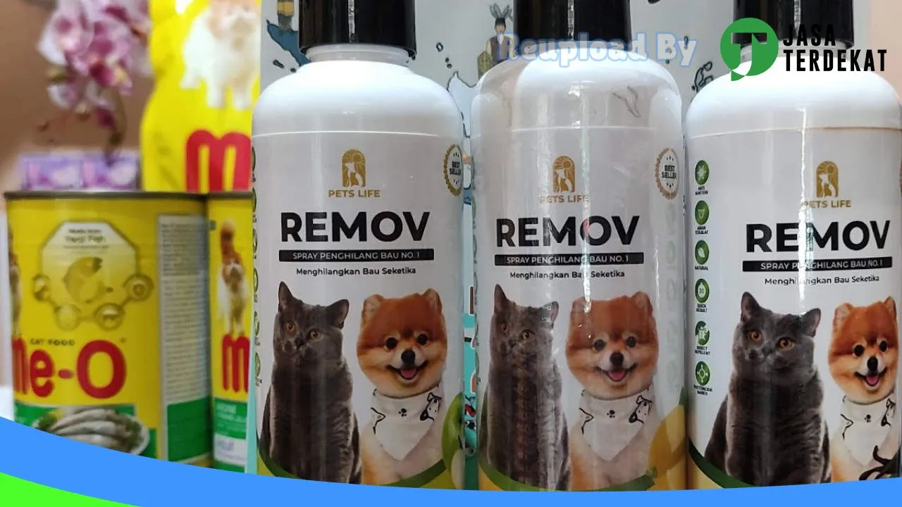 Gambar Nino pet shop di Lahat, Sumatera Selatan ke 2