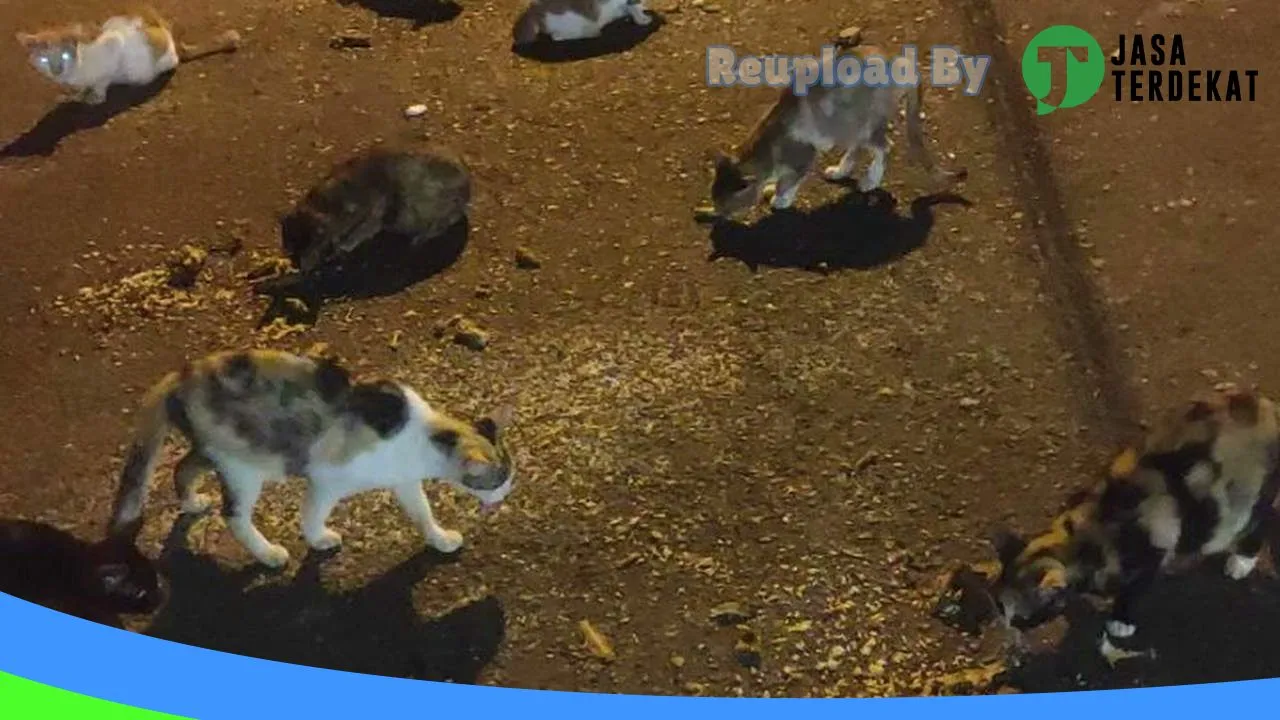 Gambar CALICO5 PET SHOP TANJUNGPINANG di Tanjung Pinang, Kepulauan Riau ke 5