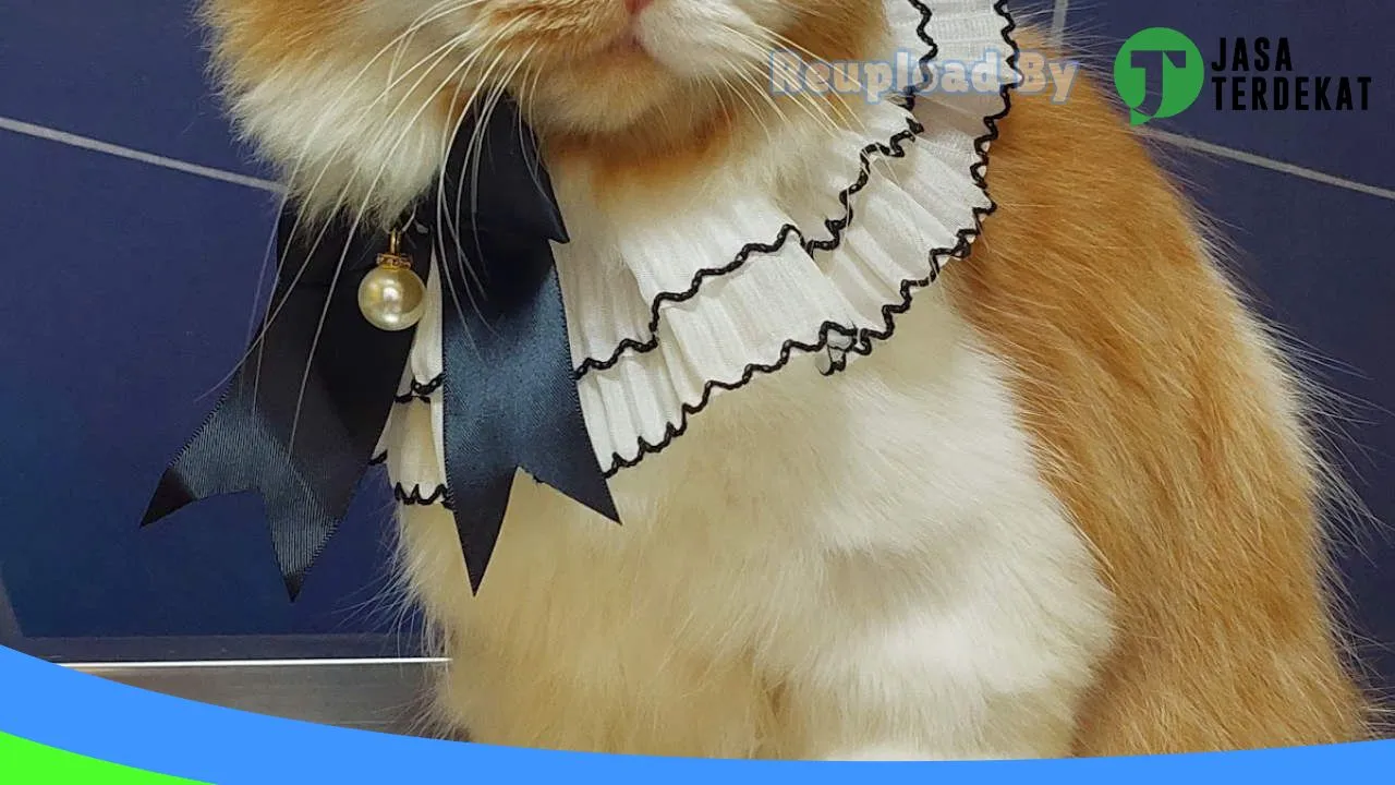 Gambar Gia PetCare – Praktek Dokter Hewan, PetShop, Grooming dan Penitipan Hewan Kota Pacitan di Pacitan, Jawa Timur ke 3