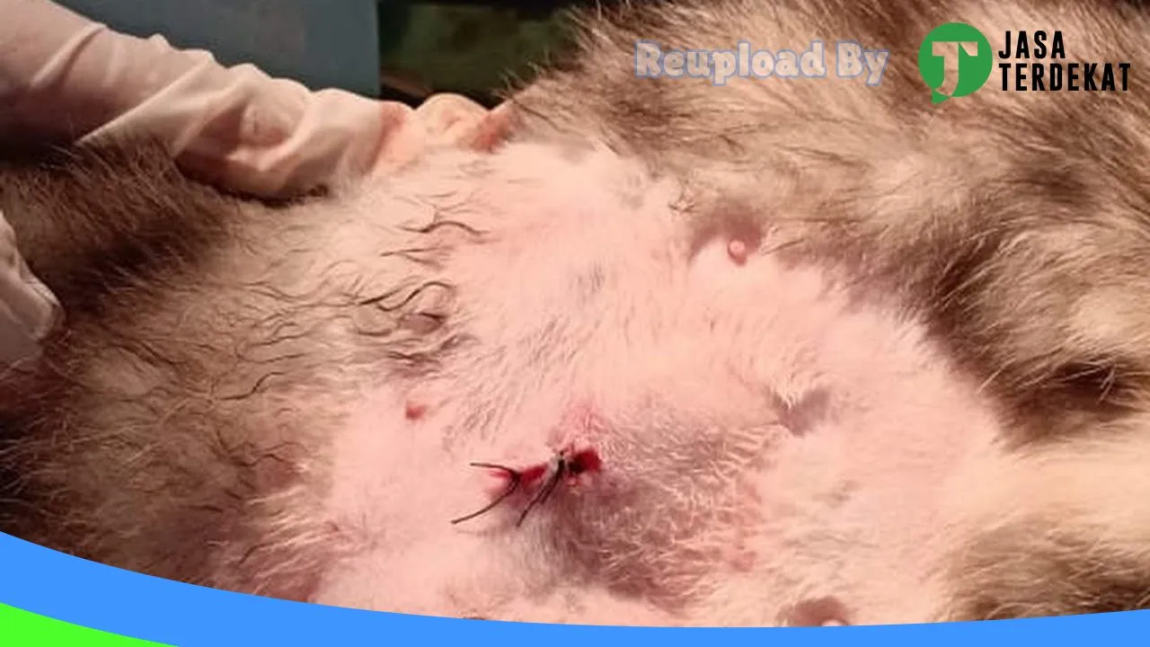 Gambar Homie Animal Care Petshop di Tulang Bawang, Lampung ke 2