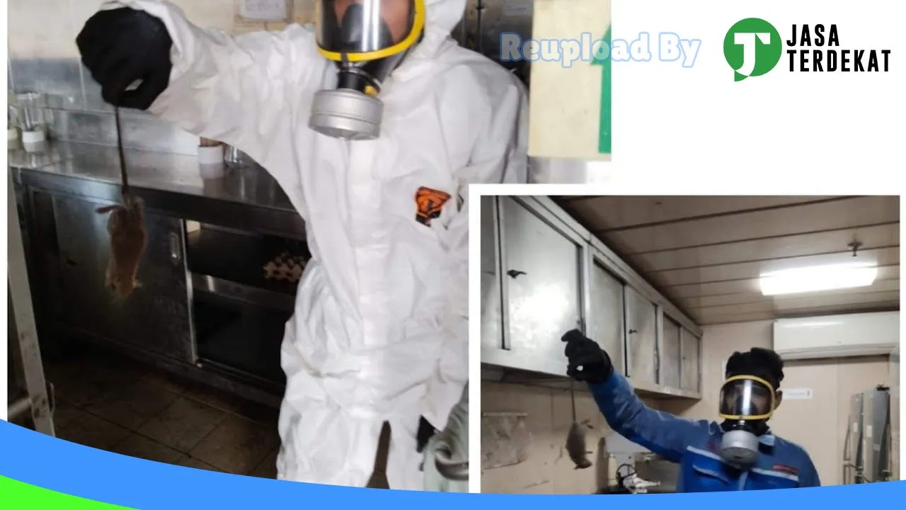 Gambar Hypesindo Global Pest Control & Hygiene Service di Kota Banjarmasin, Kalimantan Selatan ke 3