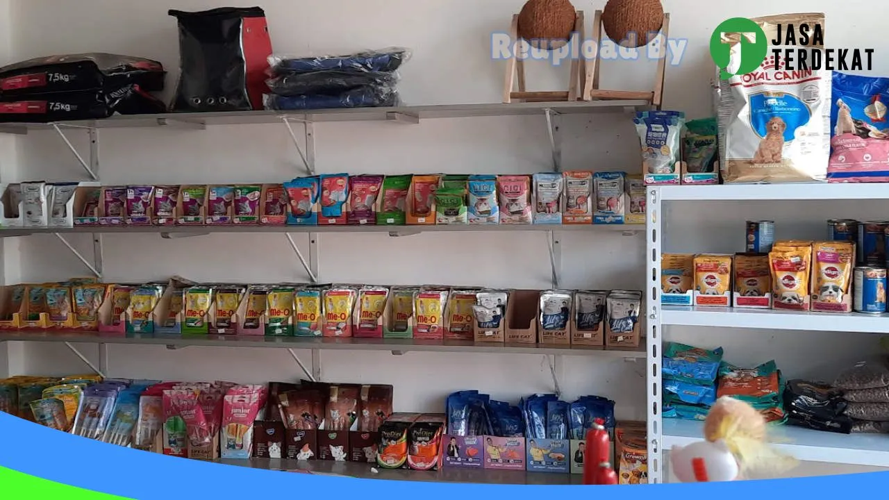 Gambar Kenken Petshop Lahat di Lahat, Sumatera Selatan ke 1