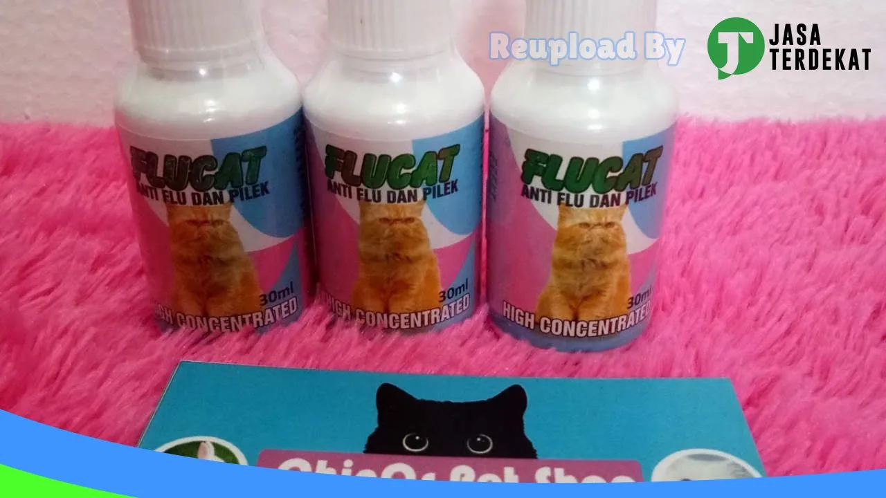 Gambar Chinos Petshop Lahat di Lahat, Sumatera Selatan ke 5